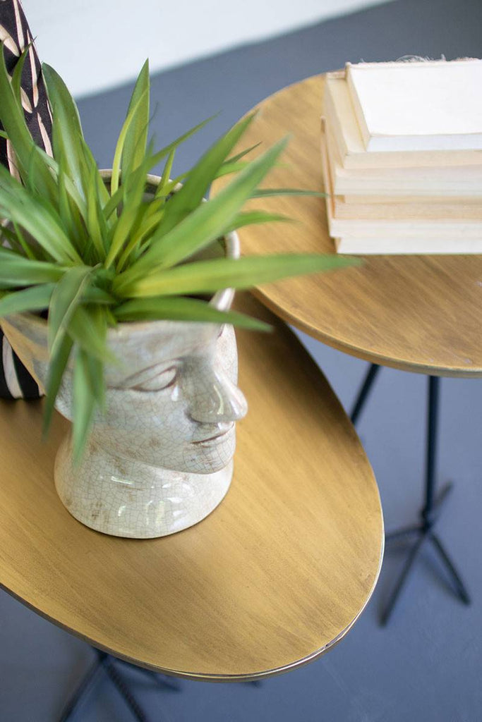 Artificial green leaves plant in head shaped vase
