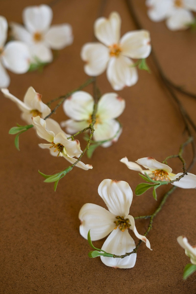 White flowers with green leaves on a brown background