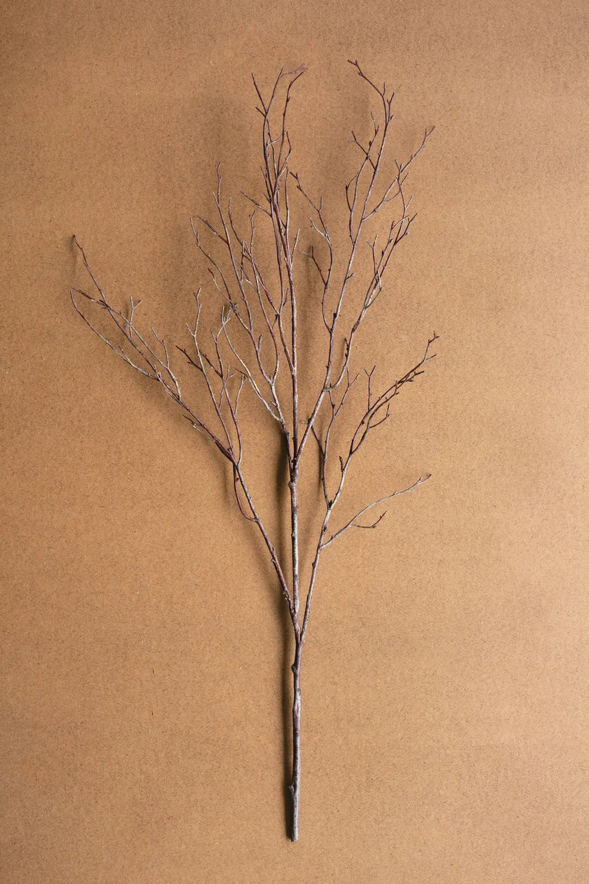 A single artificial-looking bare twig branch with many thin branches extending upward, photographed against a plain warm tan background.