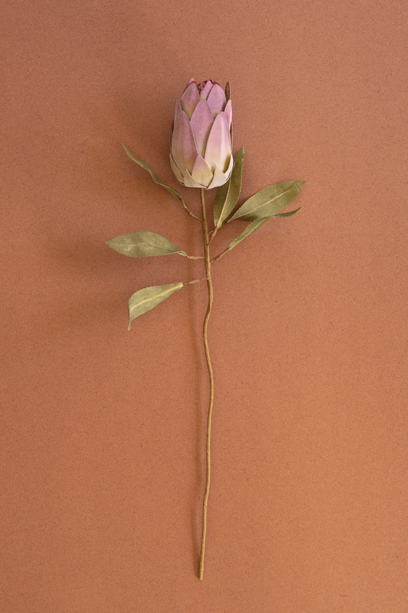A single dried protea flower with a pale pink and cream bud, green leaves, and a long brown stem, photographed against a solid terracotta background.