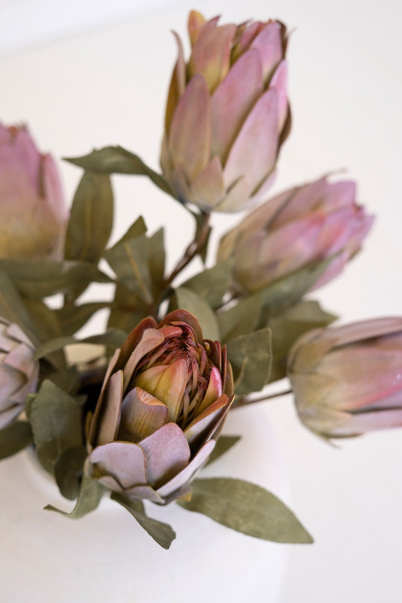 Botanica #9032 (Box of 6)