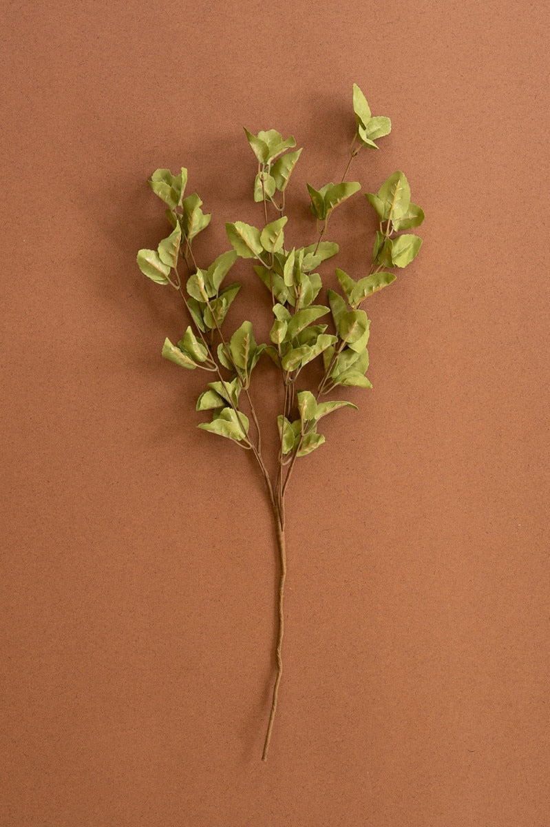 A single artificial-looking leafy branch with small light green leaves on a brown stem, photographed against a solid warm brown background.