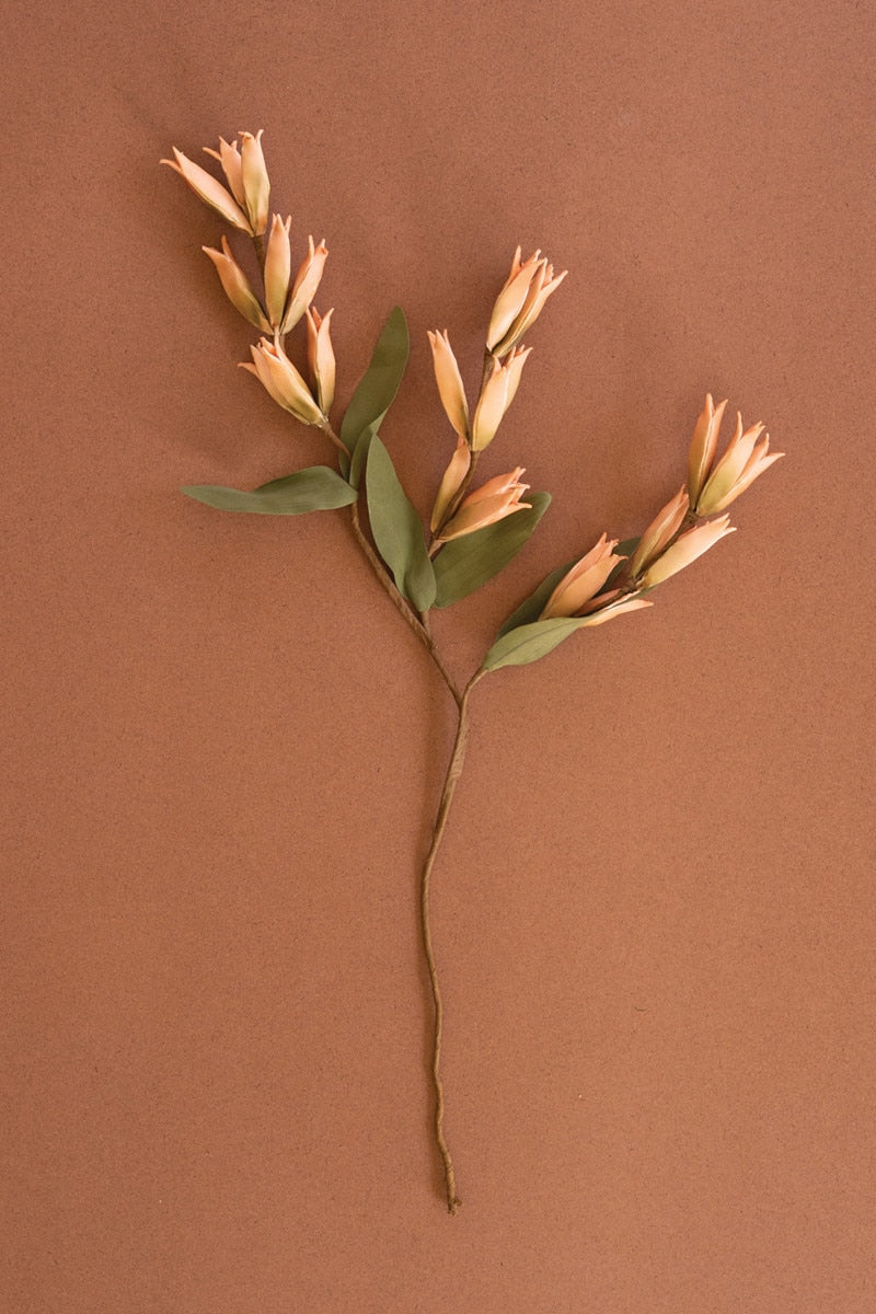 Botanica #9039 (Box of 6)
