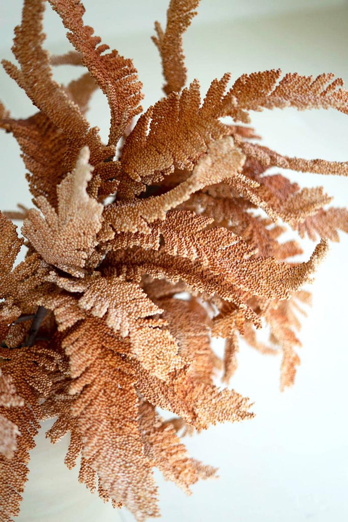 artificial plant with long rust colored leaves made with latex rubber - close-up view