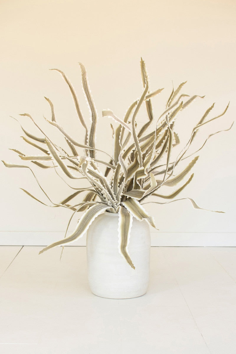 Botanica #3656 (Box of 6)