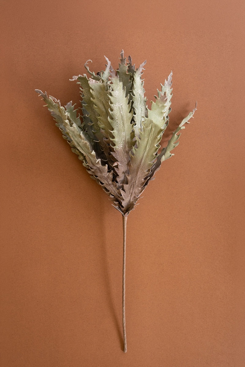 Botanica #3658 (Box of 6)