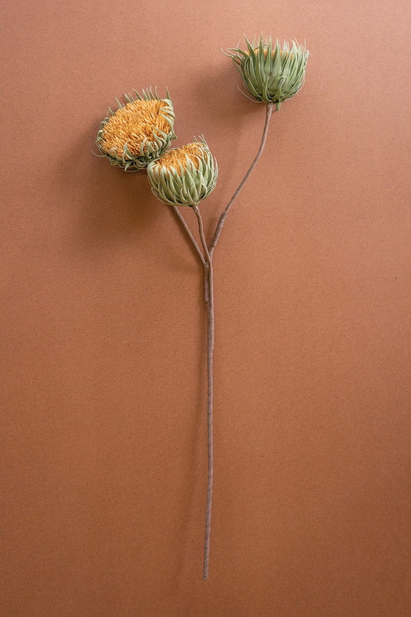 Three dried thistle flower heads on a single long stem, arranged against a solid warm terracotta background.