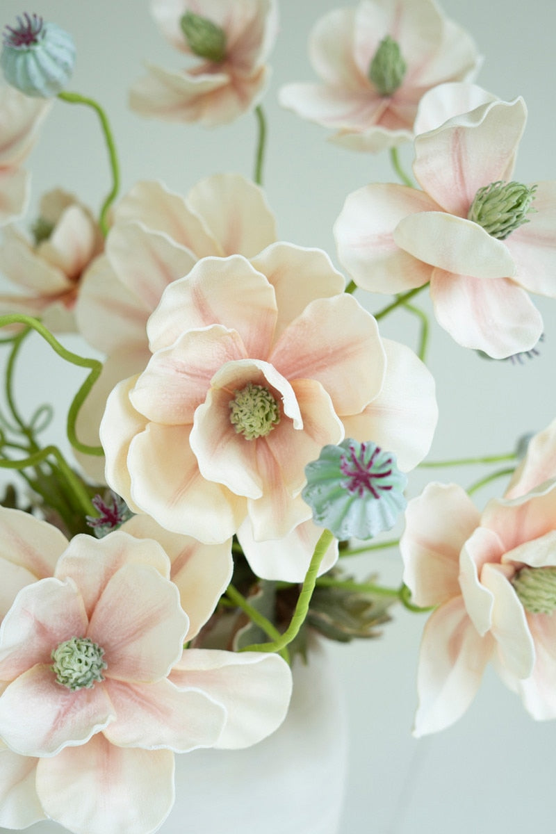 Close-up of pink flowers with green stems on a light background