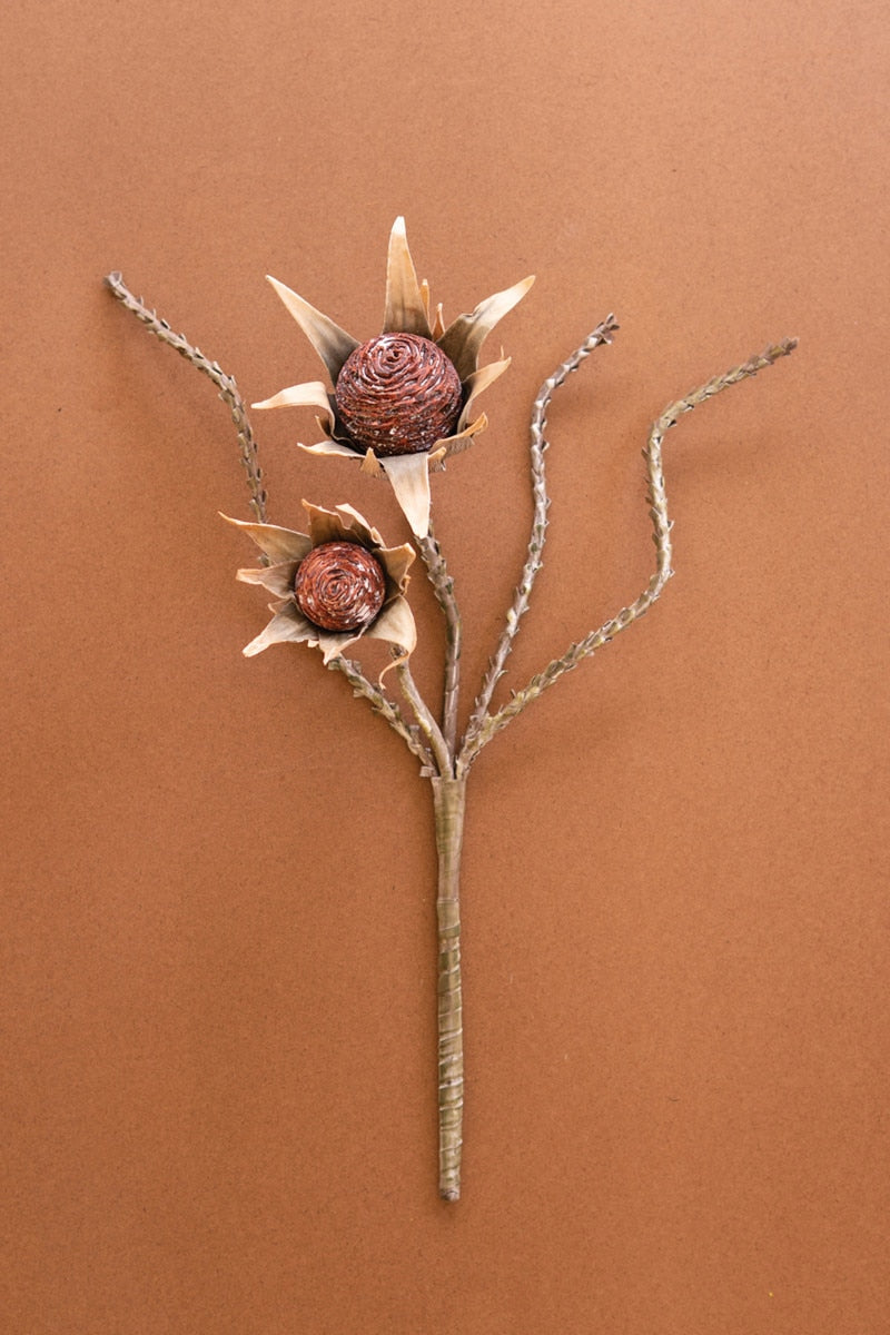Botanica #2882 (Box of 6)