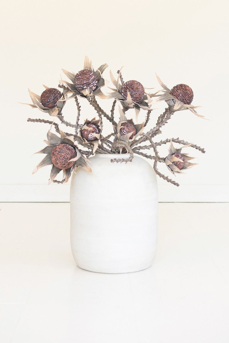 Botanica #2882 (Box of 6)