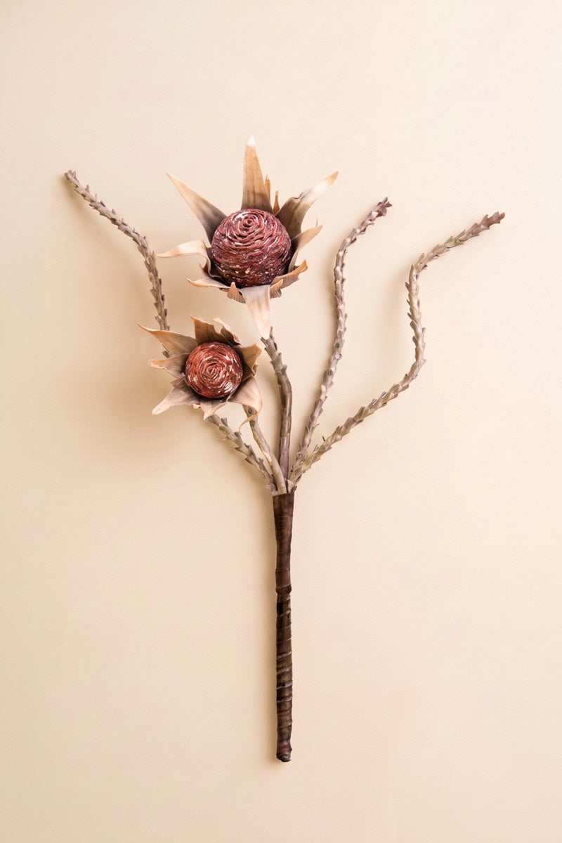 Botanica #2882 (Box of 6)