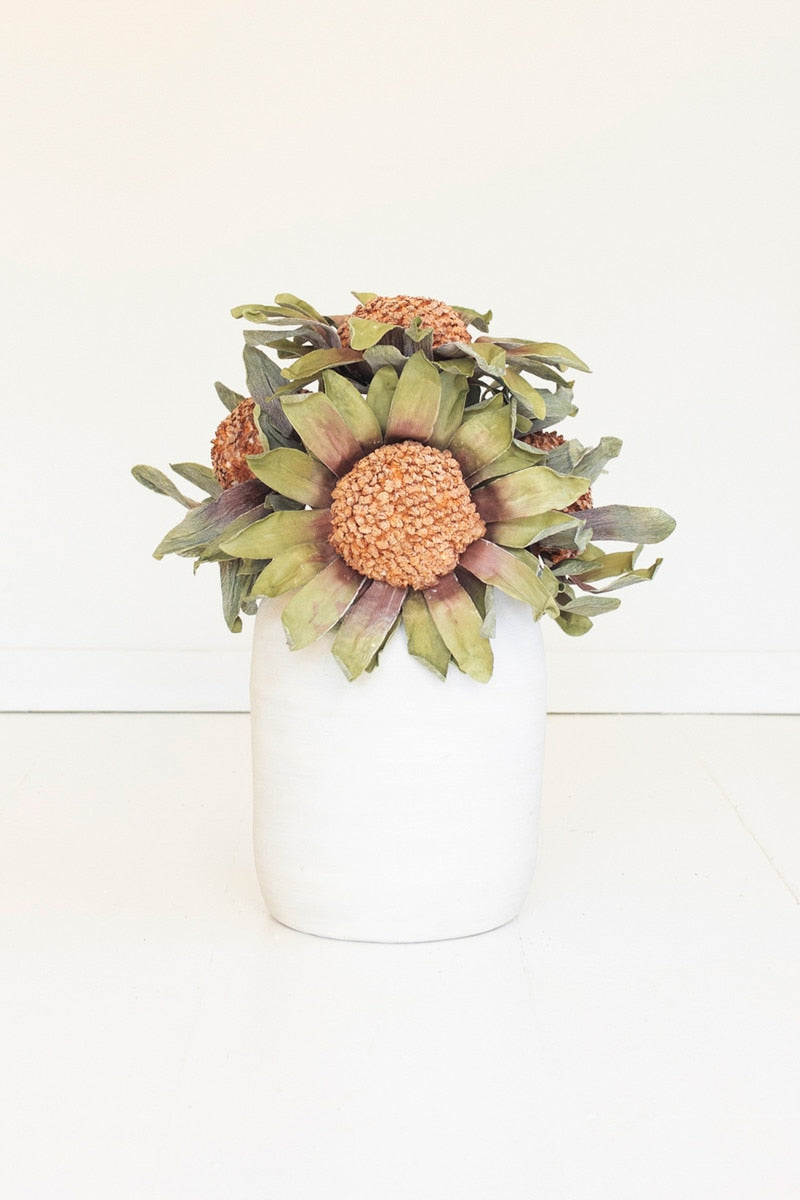 Botanica #2885 (Box of 6)