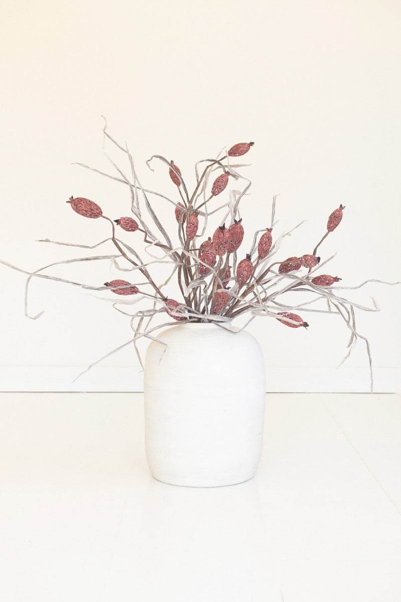 Botanica #2886 (Box of 6)