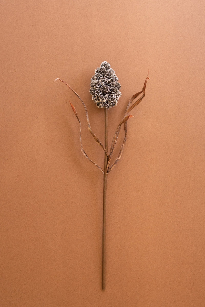 Botanica #2893 (Box of 6)