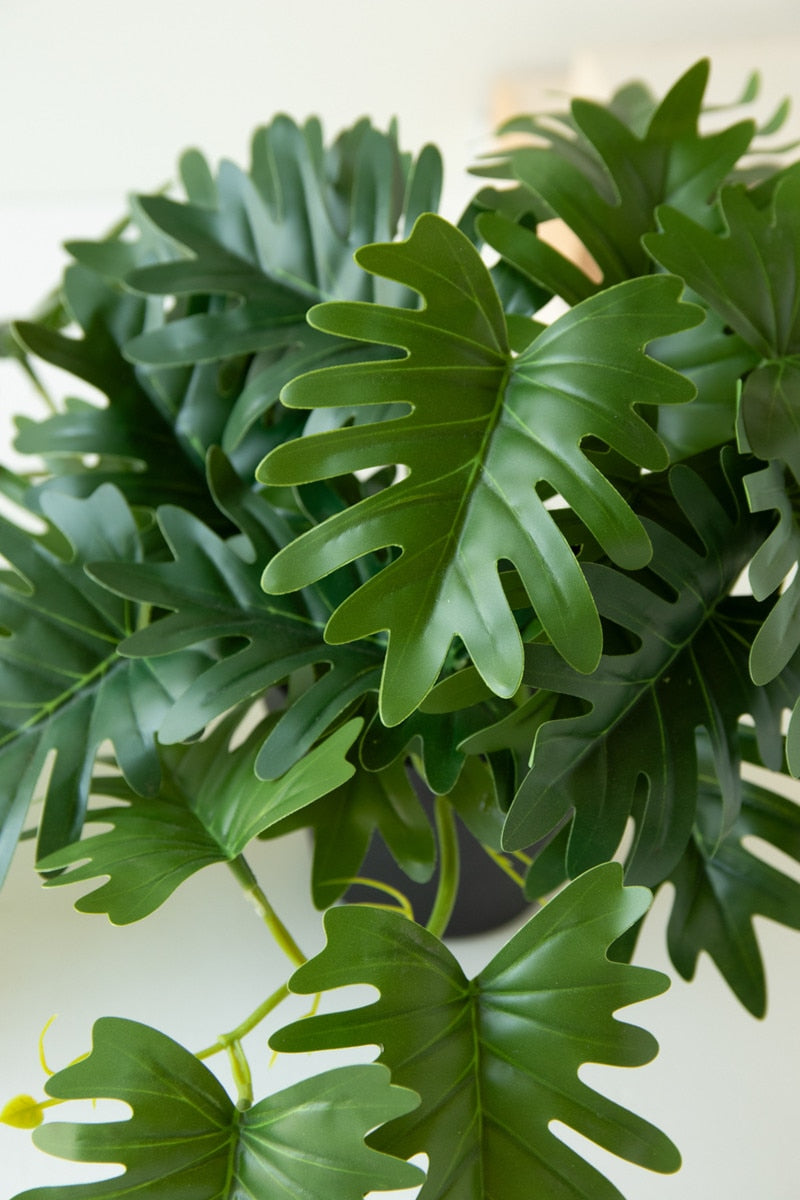 Artificial Mini Philodendron In A Black Plastic Pot (Box of 6)