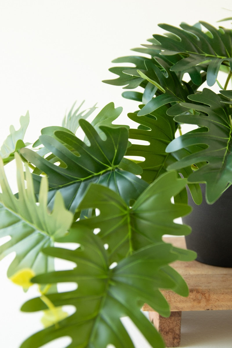 Artificial Mini Philodendron In A Black Plastic Pot (Box of 6)