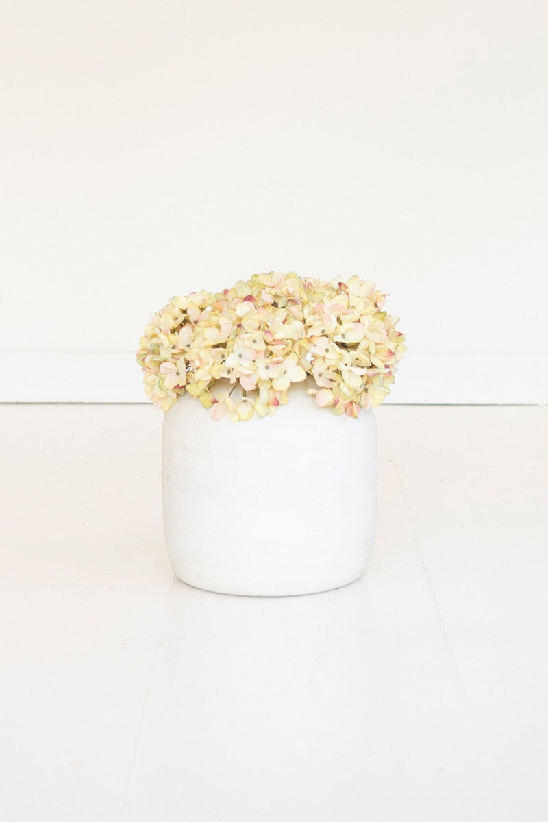 Botanica #2904 (Box of 6)