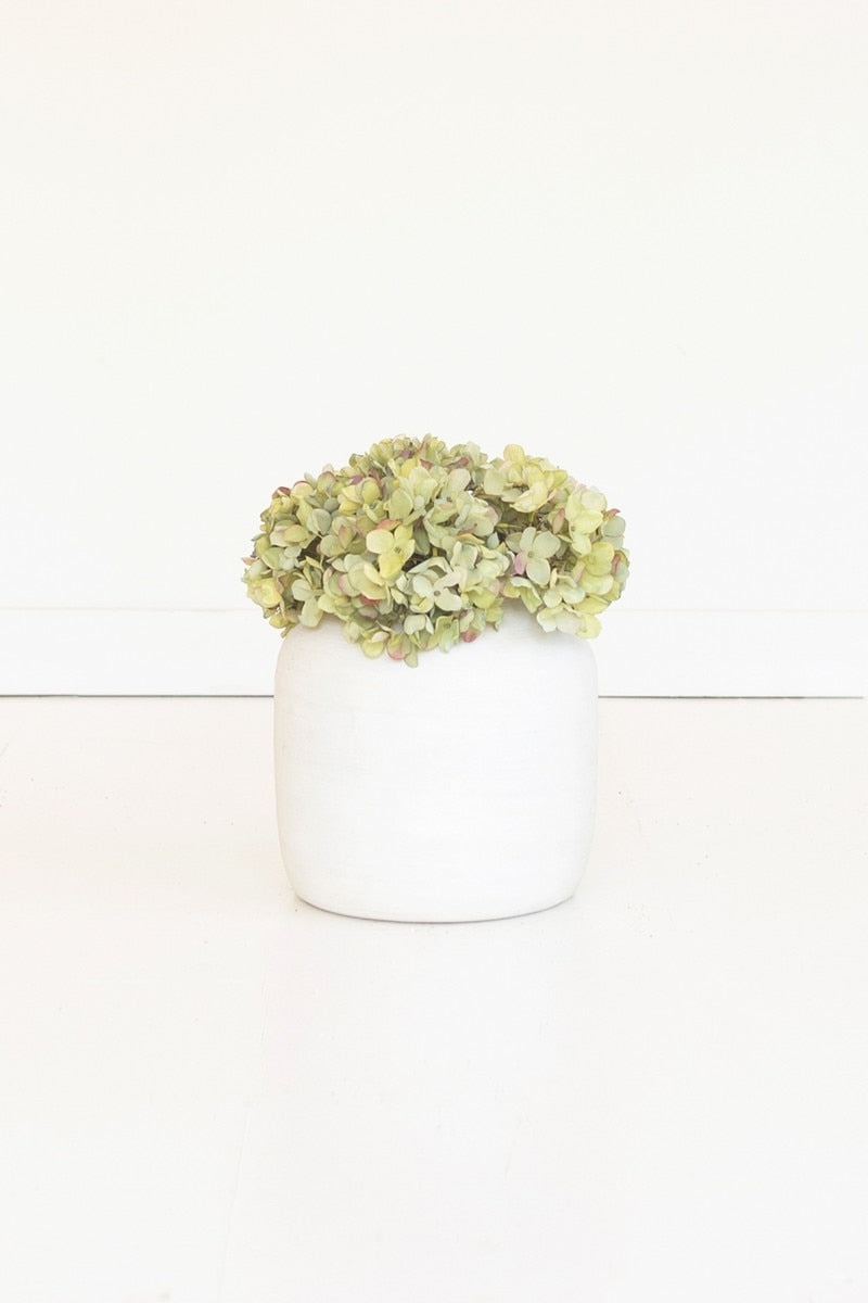 A small white ceramic vase holding a dense cluster of pale green hydrangea-like flowers, centered against a clean white background.