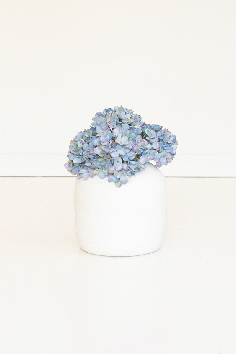 Botanica #2907 (Box of 6)