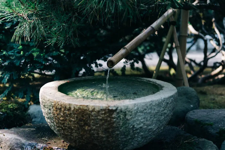 angled bamboo funneling water into water bowl below