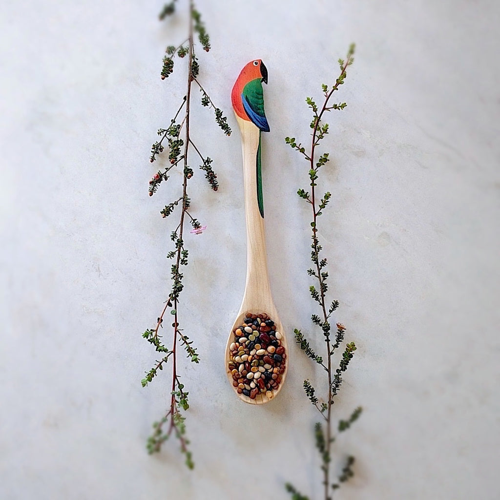 brazilian wood spoon with parrot head here shown holding lentils