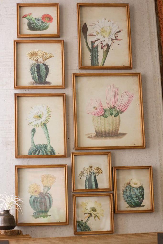 9 life-like cactus prints frame and behind glass
