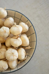 string of faux garlic in a bowl - showing half bowl