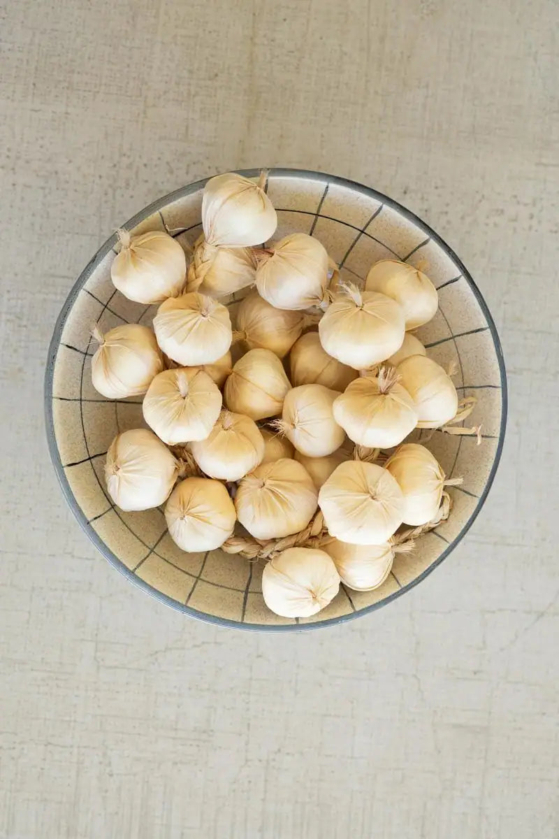 string of faux garlic in a bowl