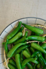 12 Strings of Artificial Green Peppers