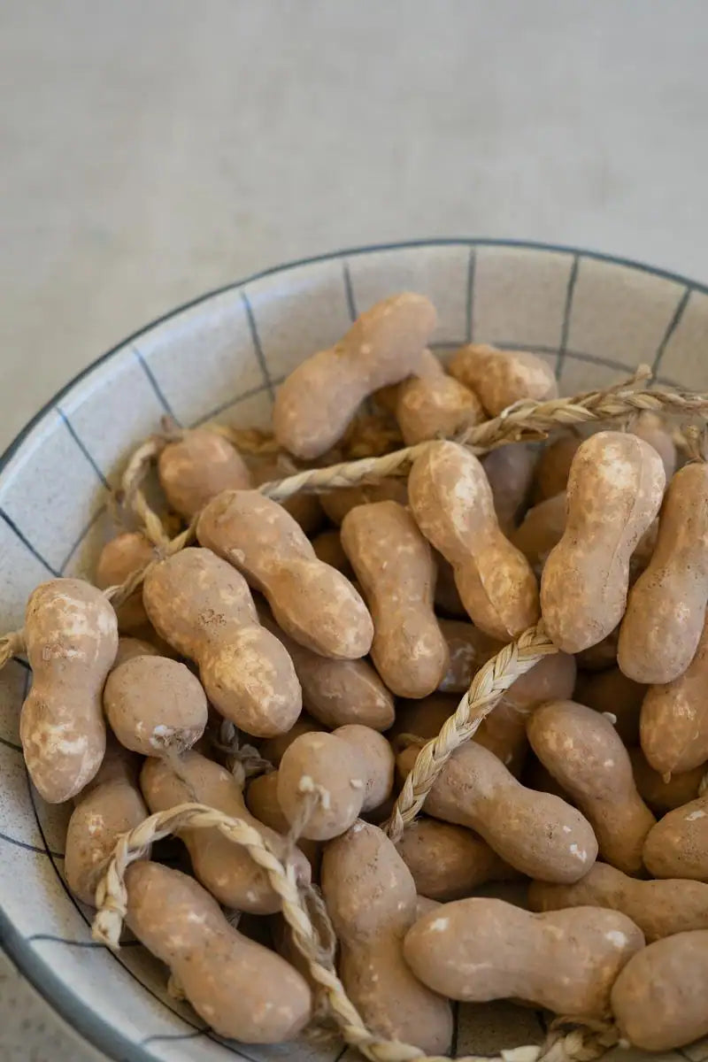 string of faux peanuts - shown in a bowl