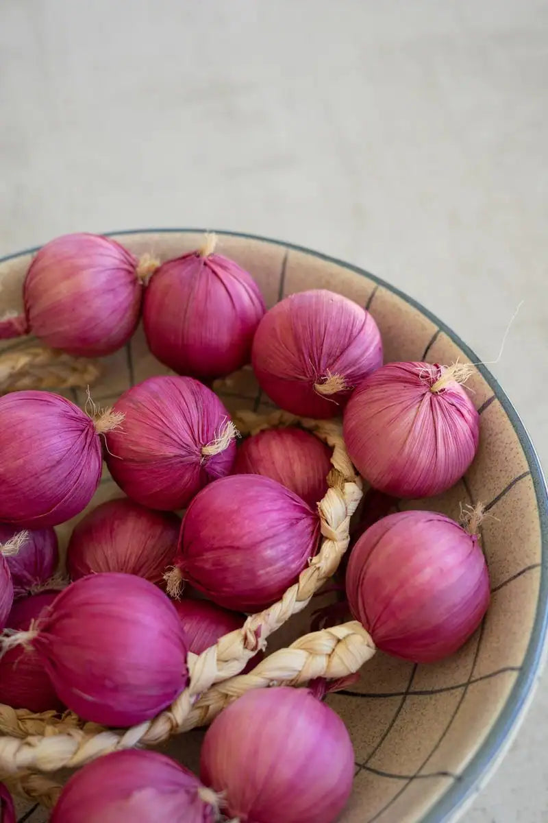 string of purple faux onions - shown in a bowl close-up