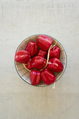 string of red faux bell peppers - shown in a bowl