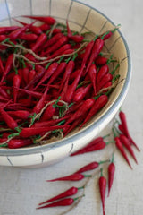 string of red faux peppers - shown in a bowl close-up