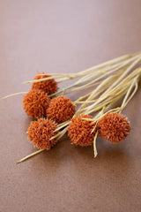 faux orange ball flowers - angled close-up 2