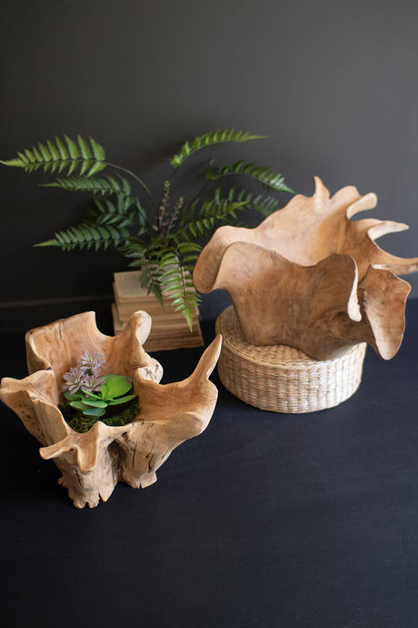 Wooden shell-shaped planters with a wicker basket on a dark background