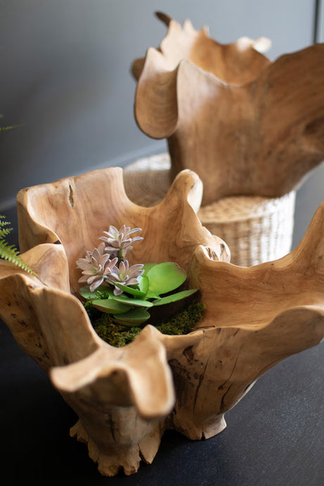 Wooden planter with a small plant on a dark surface