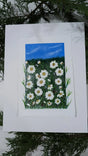 acrylic blue sky & white daisies study painting mounted on float-mat