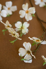 White flowers with green leaves on a brown background