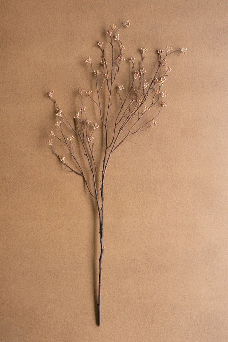 A dried floral branch with delicate pale pink blossoms and thin dark brown stems, arranged against a warm tan textured background.