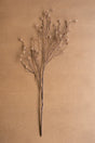 A dried floral branch with delicate pale pink blossoms and thin dark brown stems, arranged against a warm tan textured background.