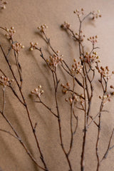 Artificial Budding Branch Stem (Box of 6)