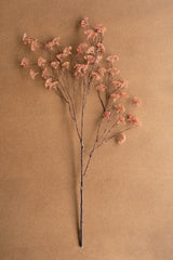 A single dried floral stem with delicate pale pink blossoms and dark brown branches, arranged against a solid textured tan background.