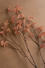 Dried floral branches with small pink flowers on a beige background
