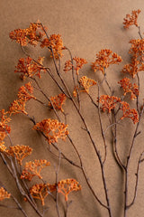 Ornamental dried branches with small orange-brown flower clusters arranged on a textured brown background.