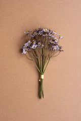 Chamomile Bundle (6 Stems) - Lavender (Box of 6)