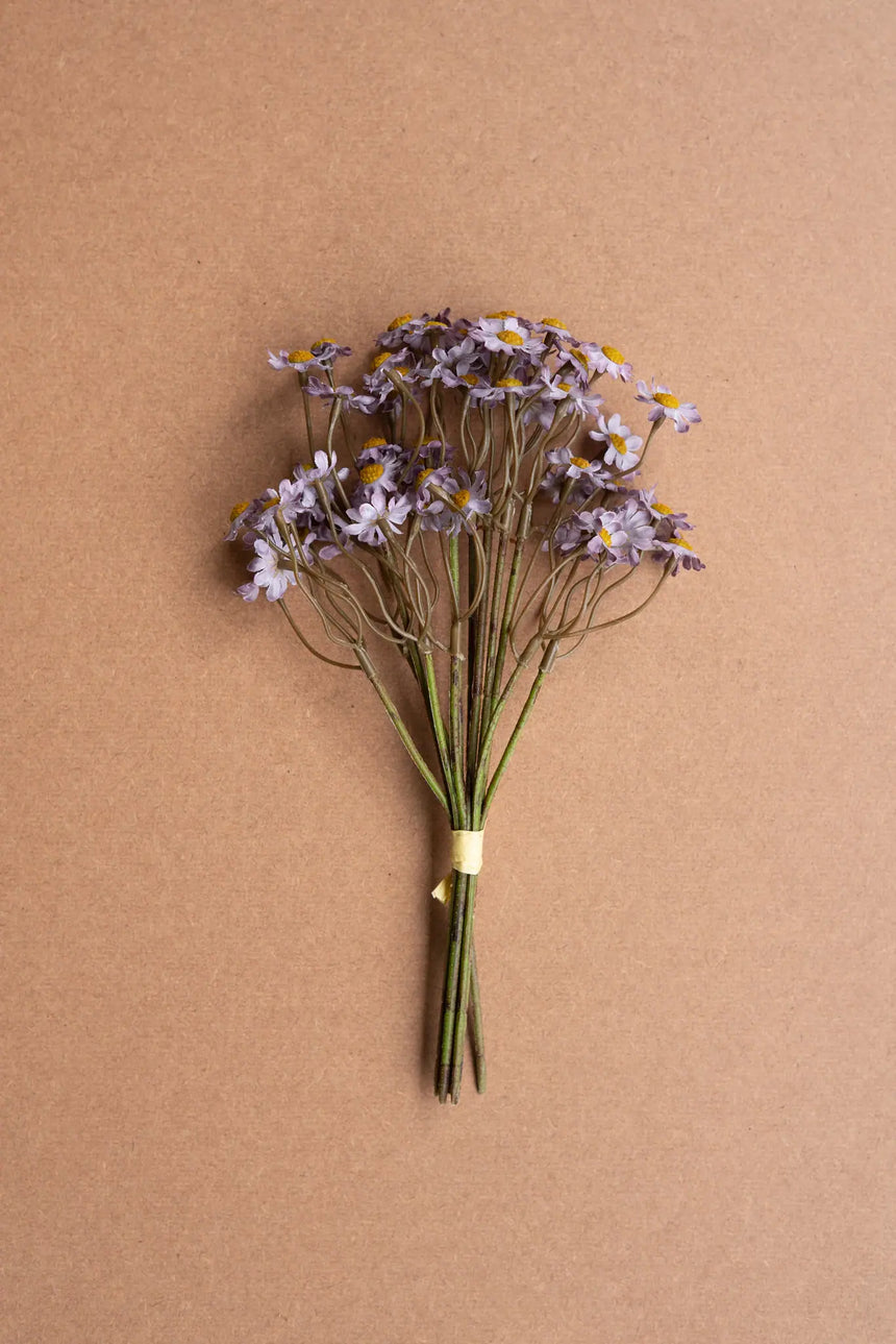 Chamomile Bundle (6 Stems) - Lavender (Box of 6)