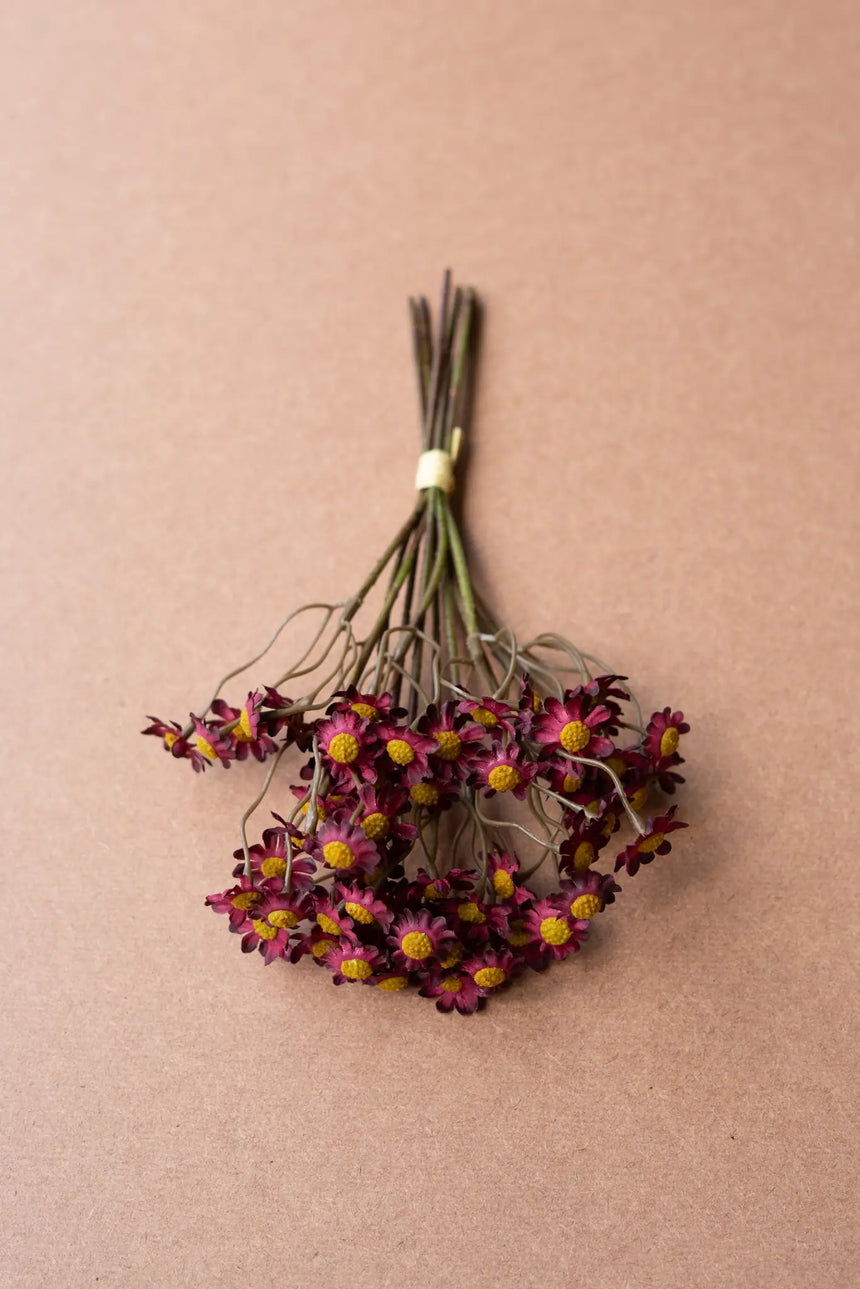 Chamomile Bundle (6 Stems) – Burgundy (Box of 6)