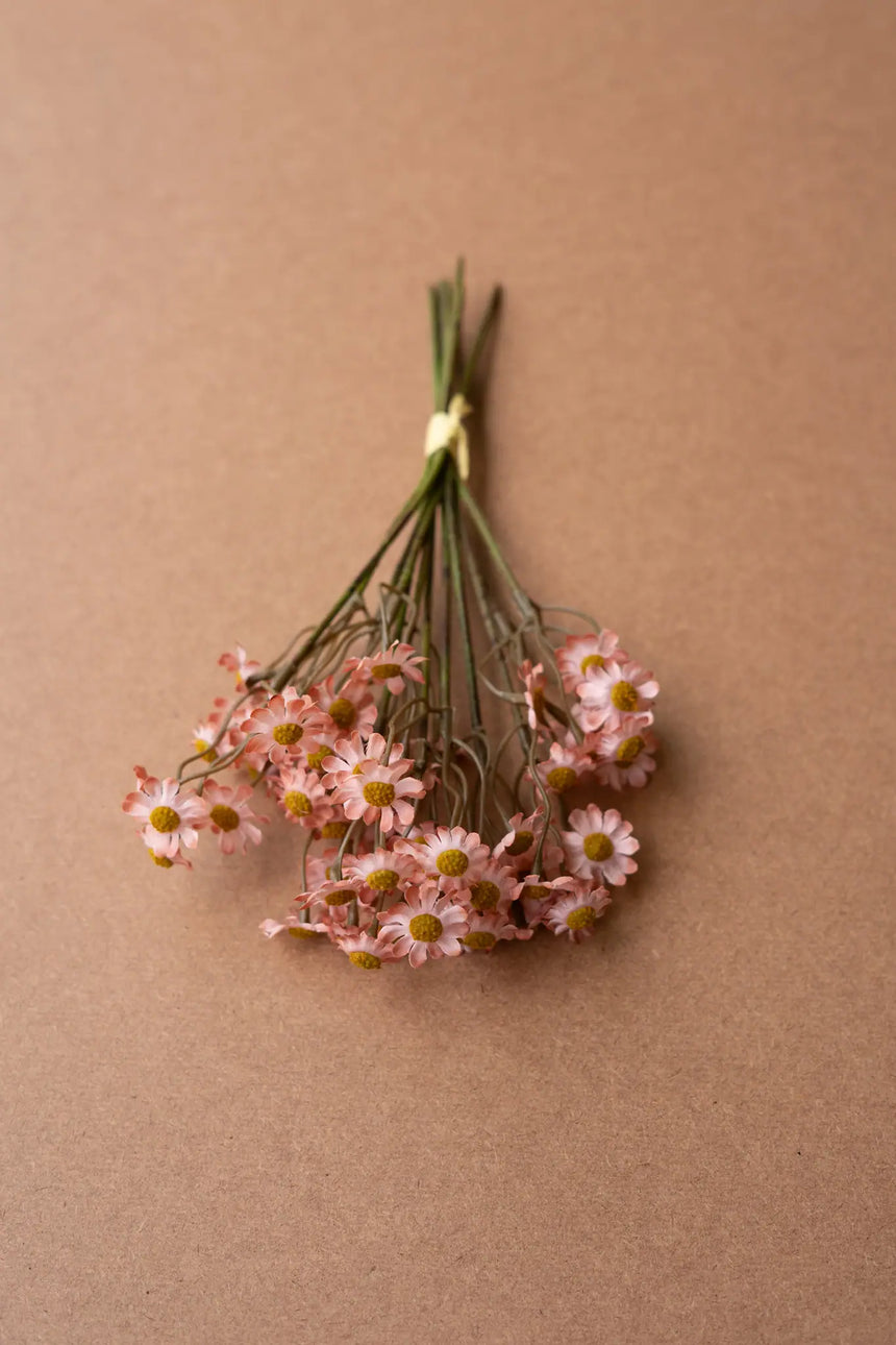 Chamomile Bundle (6 Stems) - Blush (Box of 6)