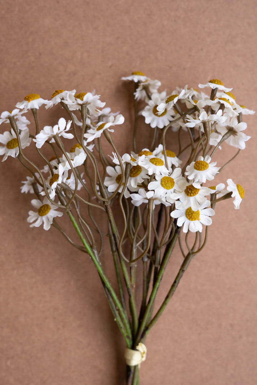 Bouquet of white flowers with yellow centers on a brown background