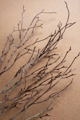 A bundle of dried brown twig branches with no leaves, arranged diagonally on a textured brown kraft paper background.